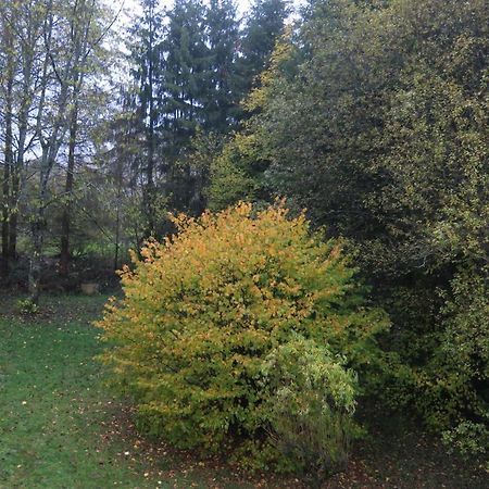 Auszeit Lejlighed Gummersbach Eksteriør billede